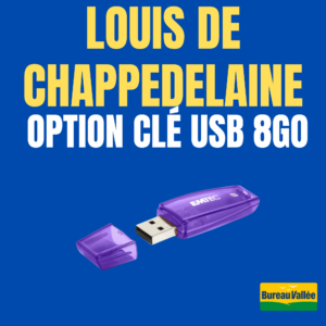 Copie de Jean Monnet - 12 OPTION CLE USB 8 GIGAS