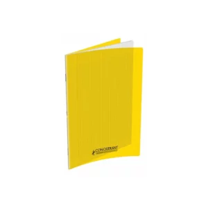 P_300048900_1 ESPAGNOL : 1 CAHIER 140P