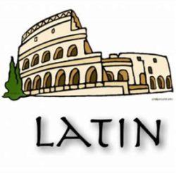 unnamed Option Latin
