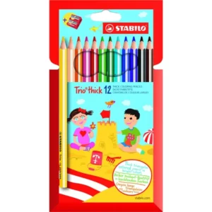 IMG_7111 12 crayons de couleur Trio Thick