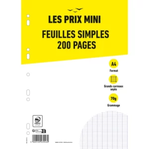 Feuilles mobiles 200p grands carreaux